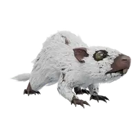 Rat
