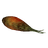 Flame Stalk