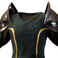 Warrior Chest
