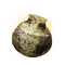 Elden-ring holy-water-pot.webp