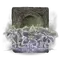 Elden-ring miranda-sprout-ashes.webp