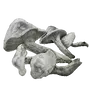 Elden-ring whiteflesh-mushroom.webp