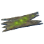 Ancient Bark