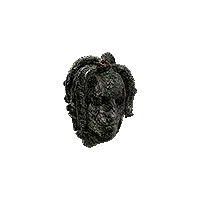 Decayed Medusa Head
