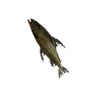 Dragon's Dogma 2 Rotten Tideswimmer.webp