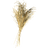 Wheat