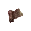 Dragon's Dogma 2 Monster Hide.webp