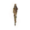 Elden-ring grace-mimic.webp