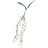 Nirnroot