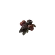 Dragon's Dogma 2 Rotten Cranberry.webp