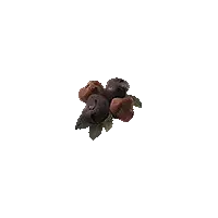Rotten Cranberry