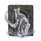 Elden-ring skeletal-bandit-ashes.webp