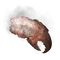 Elden-ring boiled-crab.webp