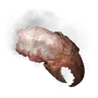 Elden-ring boiled-crab.webp