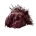 Elden-ring lump-of-flesh.webp
