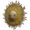 Elden-ring radiant-gold-mask.webp