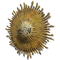 Elden-ring radiant-gold-mask.webp