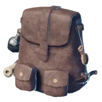 Large Backpack