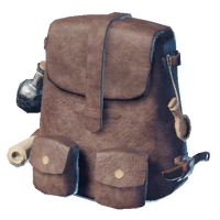Large Backpack