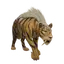 Sabertooth Tiger