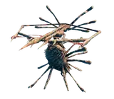 Skugg