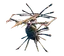 Skugg