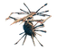 Skugg