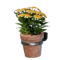 Small Yellow Wall Flower Pot