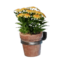 Small Yellow Wall Flower Pot