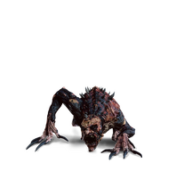 Alghoul