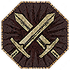 Dragon's Dogma 2 Sagacity.webp