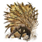 Elden-ring aspects-of-the-crucible-thorns.webp