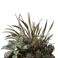 Fertile Cinder's Cradle Dirt
