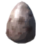 Volture Egg