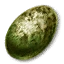 Wyvern Egg