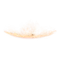 Elden-ring rune-arc.webp