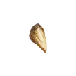 Dragon's Dogma 2 Redwolf Fang.webp