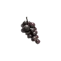 Ripened Grapes