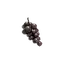 Ripened Grapes