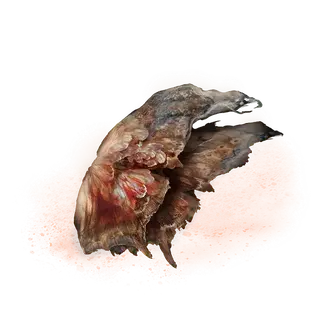 Aeonian Butterfly