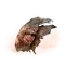 Elden-ring aeonian-butterfly.webp