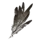 Elden-ring flight-pinion.webp