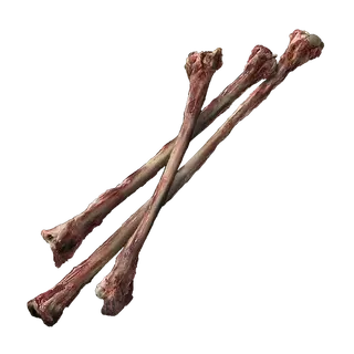 Thin Beast Bones