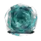 Elden-ring thopss-barrier.webp