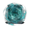 Elden-ring thopss-barrier.webp