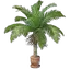 Coconut Plant Pot