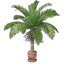 Coconut Plant Pot