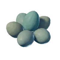 Eggs