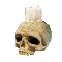 Skull Candle