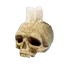 Skull Candle